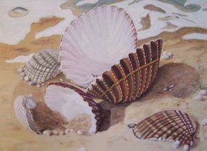 Voir le détail de cette oeuvre: Coquillages sur la plage de Kérouini