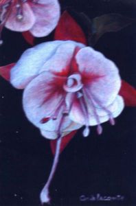 Voir le détail de cette oeuvre: Gracile fuchsia rose et blanc