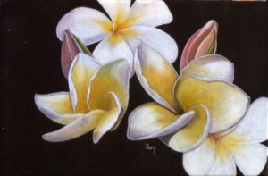 Voir le détail de cette oeuvre: Champa muong Lao ( fleurs de frangipanier)